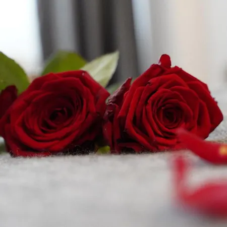 Amical - Am Hauptbahnhof 4* Hagen