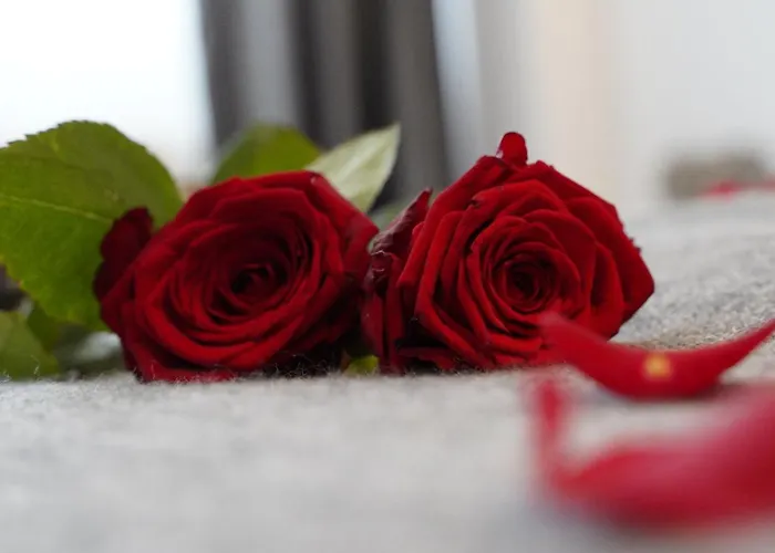 Amical - Am Hauptbahnhof 4* 哈根